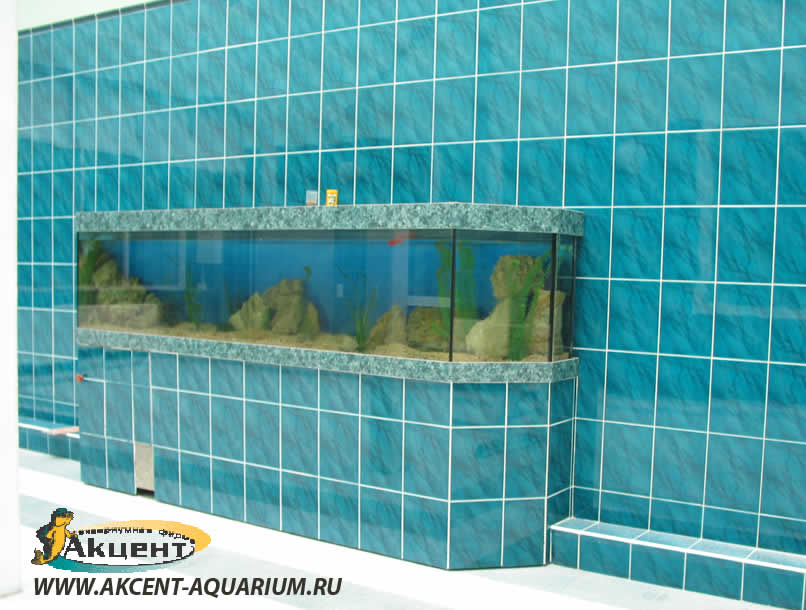 Акцент-Аквариум, аквариум длинной 3 метра 1000 литров